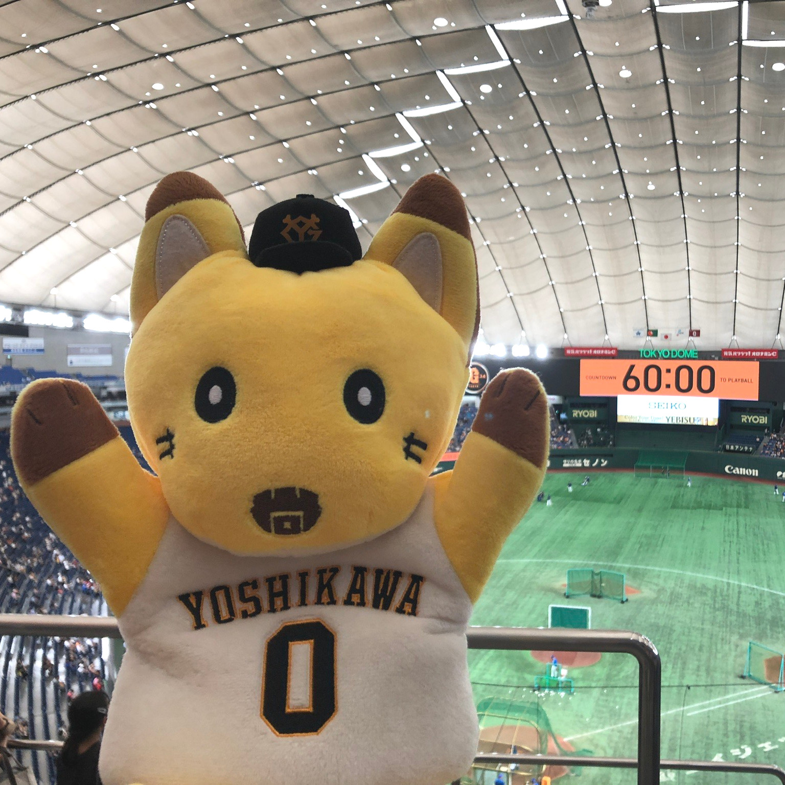プロフィール写真