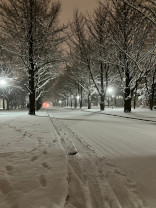 実習帰りの雪道