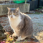 プロフィール写真