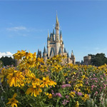 プロフィール写真