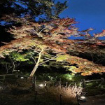 プロフィール写真