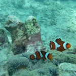 プロフィール写真