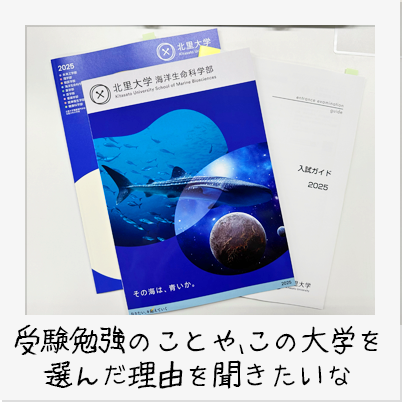 大学資料