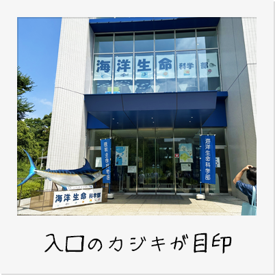 学部受付