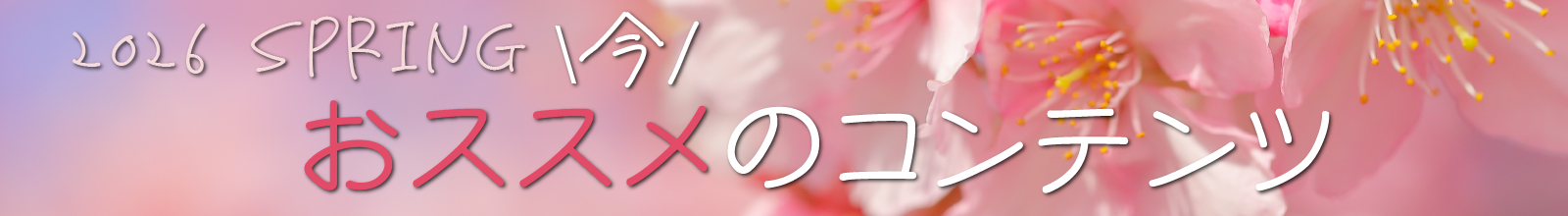 今オススメのコンテンツ