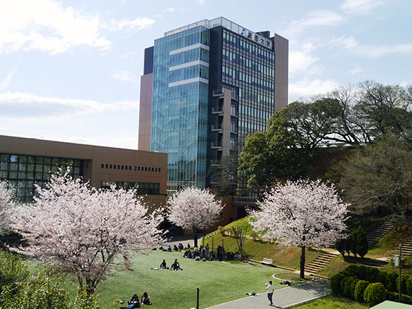 淑徳大学