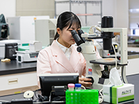顕微鏡を覗く学生