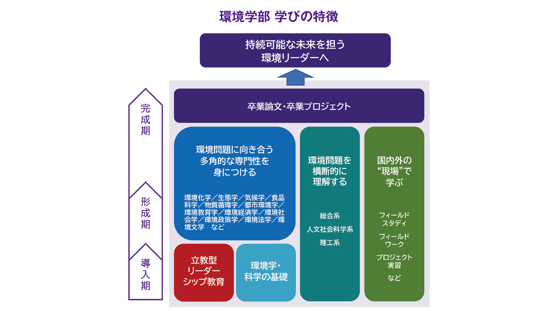 環境学部 学びの特徴