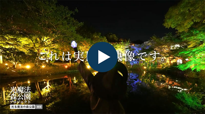 光る魔法の森プロジェクト