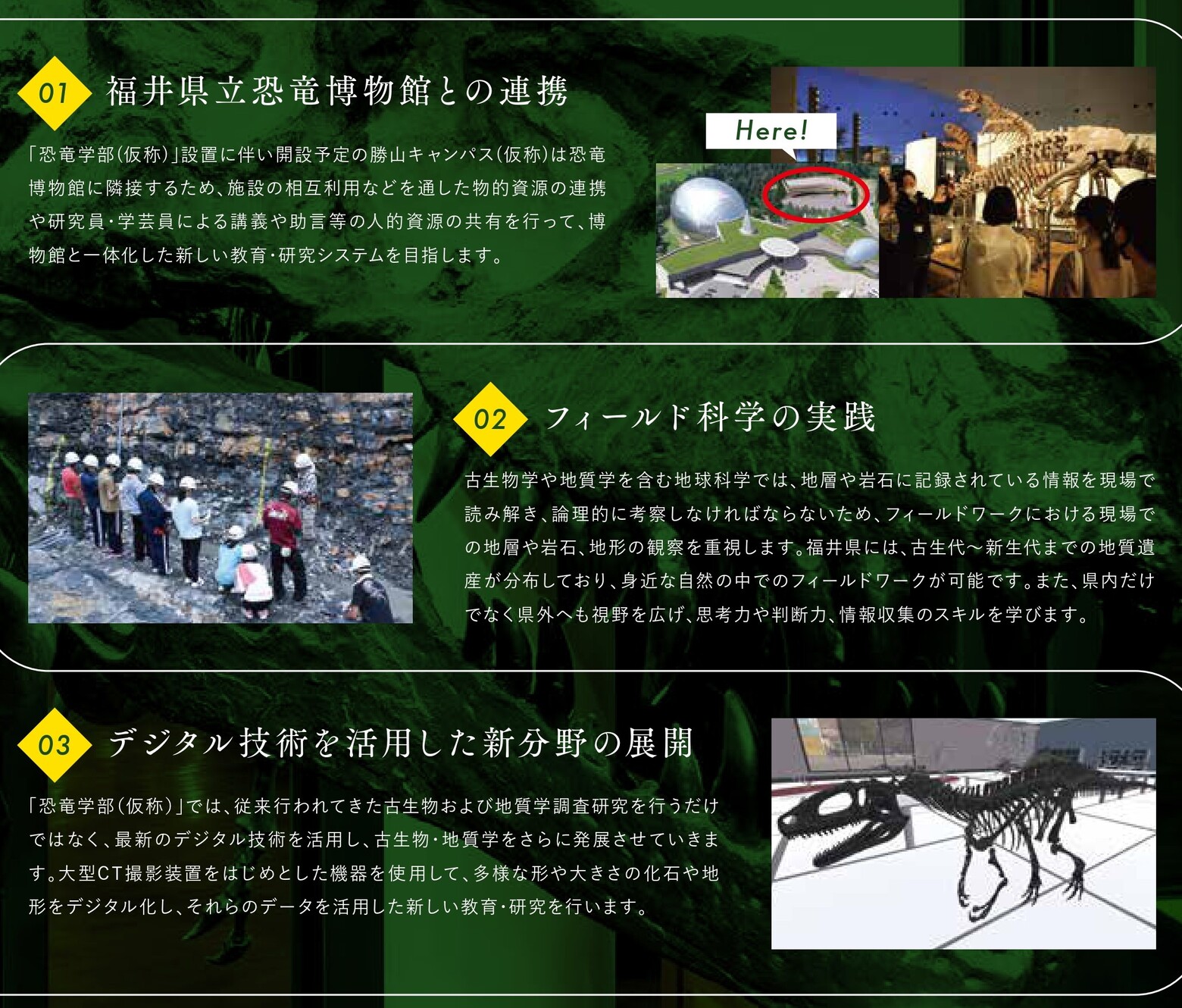 図 カリキュラムの特色