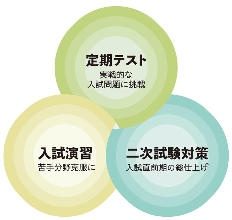 活用シーン：定期テストでの実戦的な入試問題に挑戦。入試演習での苦手分野克服に。二次試験対策での入試直前期の総仕上げ。